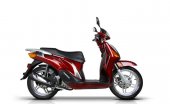 2010 Qlink Pegasus 150 photo
